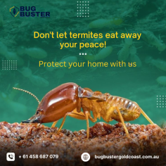 Protect your home or business with professional Termite Treatment in Gold Coast. Designed for residential and commercial properties, this service focuses on identifying termite activity and applying appropriate treatment methods to support structural safety. With experienced technicians and approved practices, termite treatment helps maintain property condition and supports long-term protection. Choose trusted termite treatment services in Gold Coast for consistent care and peace of mind.