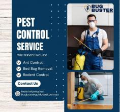Need trusted pest control in Oxenford? We provide safe, effective, and affordable pest control services for homes and businesses. Our experienced team handles termites, cockroaches, ants, rodents, spiders, bed bugs, and more using advanced, eco-friendly treatments. Whether you need a one-time service or ongoing pest management, we deliver fast response, long-lasting results, and complete peace of mind. Choose professional, reliable pest control in Oxenford at competitive prices—call now to book your service today!