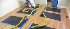 Looking for Complete Flood Restoration Services?
Get expert Flood Restoration services with Capital Facility Services, delivering reliable solutions using advanced equipment and proven techniques. Our skilled team ensures fast, efficient, and complete recovery to restore your property safely and effectively.