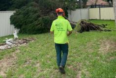 While many individuals are tempted by doing a DIY job, hiring a professional to assist with tree removal Bondi is essential. Attempting a tree removal Bondi without the right knowledge and equipment, you leave yourself vulnerable and those around you vulnerable to an array of risks. At Branch Out Tree Specialists, our arborists have over 15+ years of experience and are passionate about the restoration and conservation of trees. As the leaders in quality tree management at an affordable rate, this makes the experts at Branch Out Tree Specialists the #1 choice! We understand that every tree is unique and we respect the vitality they provide us. So, no matter what kind of tree removal Bondi you’re after, trust the friendly experts at Branch Out Tree Specialists! We even offer after hour services to meet all your emergency tree maintenance requests.