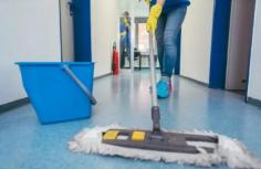 That’s My Cleaner brings decades of experience to Buderim, offering an innovative and dependable approach to every job. Since 1990, our family-owned business has earned trust through precision, quality, and consistency. We value thorough cleaning over quick shortcuts. Our cleans, whether for homes, offices, or commercial spaces, feature safe, effective products and meticulous attention to detail. From deep carpet cleans to sanitising workspaces, our team ensures every area gets the care it deserves.