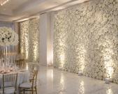 Hire a Flower Wall in Melbourne to Create a Stunning Event
Planning a wedding, birthday, engagement, corporate event, or special celebration in Melbourne? We at Designer Vertical Gardens, offers beautiful flower wall for hire in Melbourne with elegant backdrops that create memorable photo opportunities for every occasion. Choose from our wide range of premium flower wall designs suitable for indoor and outdoor events perfectly.
Special Offer: Ask our team about available offers and packages for your upcoming event.
Elegant flower wall backdrops
Suitable for weddings, parties, and corporate events
Professional setup and quality displays
Book your flower wall or backdrop for hire in Melbourne today. Contact us now for more details.
Visit:- https://www.designerverticalgardens.com.au/