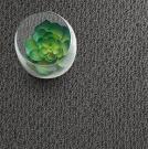 Pick a Polypropylene Fabric Carpet Built for Real Life
Busy homes are hard on floors. Evermore Floors offers a solid range of polypropylene fabric carpet options for everyday Australian living. These carpets resist stains, handle moisture, and stay looking fresh through heavy foot traffic, making them a smart pick for living rooms, hallways, rental properties, and commercial spaces.
The range comes in different colours and textures, so customers can find something that fits the style of their space without blowing the budget. Polypropylene fabric carpet cleans up easily and holds it look over time. That is why so many households and property managers keep coming back to it:
- Stain resistant and moisture resistant construction.
- Budget-friendly options for homes and commercial spaces.
- Easy to clean and maintain in high traffic areas.
- Available in a variety of colours and textures
Updating a single room or flooring an entire property, you get durability and comfort without the fuss. Browse the range of polypropylene fabric carpet at Evermore Floors and get in touch with the team today to find the right fit for your space. For more information visit us at https://evermorefloors.com.au/collections/carpets-polypropylene