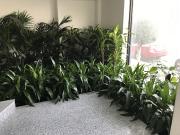 Indoor Plant Hire In Melbourne for Beautiful Workspaces
Transform your office or commercial space with professional Indoor Plant Hire In Melbourne services. Choose from a wide range of attractive indoor plants to create a fresh, welcoming, and vibrant environment. Flexible plant hire solutions are ideal for offices, retail stores, hotels, and other commercial spaces.