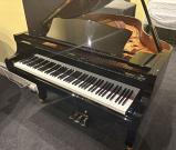 Find the Right Yamaha Piano in Melbourne
Looking for a Yamaha piano in Melbourne? This collection brings together a range of Yamaha pianos suited for home, studio, and performance use. Each model focuses on clear tone, smooth touch and reliable build quality, making it easier to choose based on your playing needs.
Yamaha Piano Melbourne
What you can explore:
Upright and grand Yamaha pianos
Options for beginners to advanced players
Consistent tone and responsive key action
Suitable for home and studio environments.
Enquire today to find the right Yamaha piano in Melbourne for you.