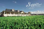 Choose Hardy Buffalo Turf Grown Right in Freemans Reach
Lawns that thin out in shade or struggle through Sydney's summer heat leave many homeowners searching for a tougher, more reliable alternative. Sapphire, a soft leaf buffalo turf that growers in Freemans Reach rely on, offers fine texture and fast ground coverage alongside strong shade tolerance, making it a popular and economical choice for a wide range of yards. All Seasons Turf Supplies has supplied this variety from Freemans Reach for more than 35 years, with daily delivery across the Sydney metropolitan area.
• Fine leaf texture with fast, even ground coverage
• Strong shade tolerance suited to trees and side yards
• Economical, hardy option for everyday family lawns
• Grown and harvested fresh at Freemans Reach
Get in touch with All Seasons Turf Supplies to order buffalo turf today.