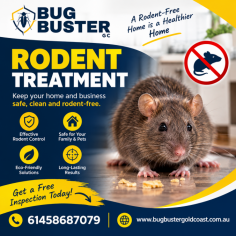 Protect your home or business with professional Rodent Treatment services designed to eliminate rats, mice, and other unwanted rodents. Experienced pest control technicians conduct detailed inspections to identify entry points, nesting areas, and signs of infestation before applying targeted treatment solutions. Using safe and effective rodent control methods, these services help prevent property damage, reduce health risks, and stop future infestations. Choose trusted rodent treatment services for reliable protection, long-lasting results, and a cleaner, safer environment.