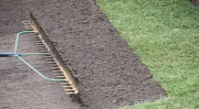 Prepare Your Lawn Properly Before Laying New Turf
Installing new turf on an unprepared surface can result in poor root establishment, uneven growth and a lawn that struggles to thrive. Proper turf preparation in Box Hill involves removing the existing surface, levelling the ground and conditioning the soil to create a strong foundation for new turf. All Seasons Turf Supplies offers practical guidance throughout the preparation process, along with a wide selection of quality turf varieties.
• Guidance on clearing and levelling the site
• Soil conditioning advice ahead of turf laying
• Support suited to home and commercial projects
• Paired with fresh-cut turf ready for delivery
Contact All Seasons Turf Supplies to plan your turf preparation and laying.
