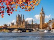 Book Cheap Flights from Melbourne to London at Great Value
Your visit to London starts off with the process of booking the right flight deals. Budget-friendly, cheap flights from Melbourne to Londonensure that you get an easy time traveling without spending too much.
Why Travellers Choose This Service
Competitive fares
Leading airlines
Flexible booking options
Helpful customer support
Choose budget-friendly flights from Melbourne to London.
Go ahead and book cheap flights from Melbourne to London with Buddha Travel & Tours.