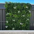 Transform Any Blank Wall with a Faux Flower Wall Backdrop
A bare fence or plain wall draws the eye in entirely the wrong direction, and there are few quicker fixes than covering it properly. A faux flower wall backdrop from Designer Plants turns that dead space into a genuine feature in an afternoon.
• Styles spanning tropical greens, flowering whites, jasmine and mixed florals
• UV-resistant panels that hold colour under sustained Australian sun
• Lightweight, reusable, and cuttable to fit any wall or frame
• Suited to weddings, product launches, and permanent installs alike
Browse through the faux flower wall backdrop range and pick the arrangement that suits your event or space.