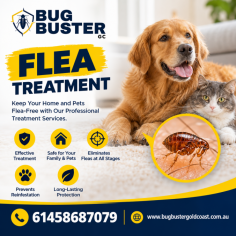 Protect your home or business with professional Flea Treatment in Gold Coast designed to eliminate flea infestations and prevent future problems. Experienced pest control technicians conduct detailed inspections and apply targeted treatments to address fleas at different stages of their lifecycle, helping ensure long-lasting results. Using safe and effective pest management methods, these services help create a cleaner, healthier, and more comfortable environment for your family and pets. Choose trusted flea treatment services in Gold Coast for reliable protection, expert care, and complete peace of mind.